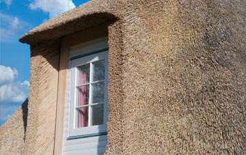 Penglais thatch roof disadvantages